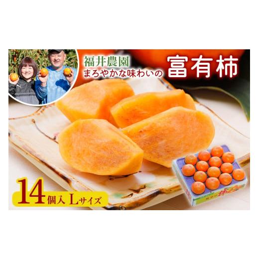 ふるさと納税 果物類 柿 岐阜県 本巣市 先行予約/令和8年産/2026年11月〜発送開始 [柿の王様]福井農園の富有柿 Lサイズ (14個入) mt1234 令和8年産