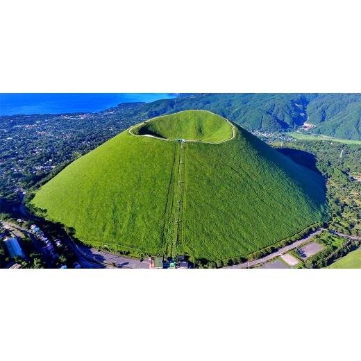 ふるさと納税 お茶類 静岡県 伊東市 ぐり茶上級一番茶 碧豊 茶葉 100g×7袋 #8047 1689280の画像
