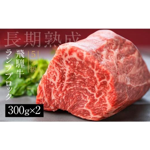 ふるさと納税 牛肉 モモ 岐阜県 飛騨市 年内発送 飛騨牛 5等級 ランプブロック 300g×2 600g 和牛 国産 黒毛和牛 塊肉 ステーキ 赤身 希少部位 バーベキュー …