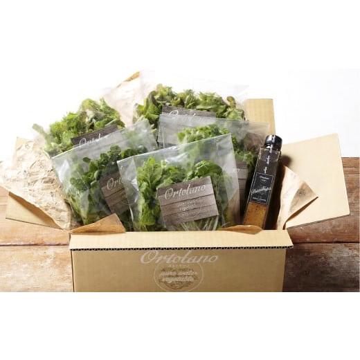 ふるさと納税 セット・詰合せ 岡山県 倉敷市 Ortolano ファーストクラスのサラダ&ドレッシングセット A サラダ ドレッシング 詰め合わせ セット 野菜 岡山県…