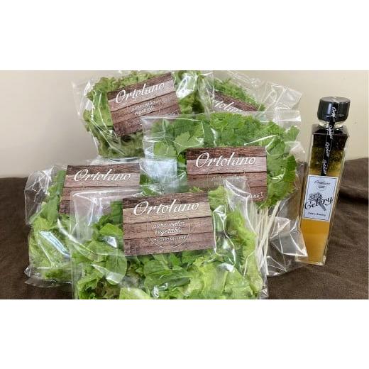 ふるさと納税 セット・詰合せ 岡山県 倉敷市 Ortolano ファーストクラスのサラダ&セロリドレッシングセット S-1 サラダ ドレッシング 詰め合わせ セット 野…
