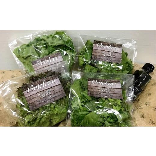 ふるさと納税 セット・詰合せ 岡山県 倉敷市 3回定期便 Ortolano 野菜 定期便 サラダ ドレッシング 詰め合わせ セット 野菜 岡山県 倉敷市
