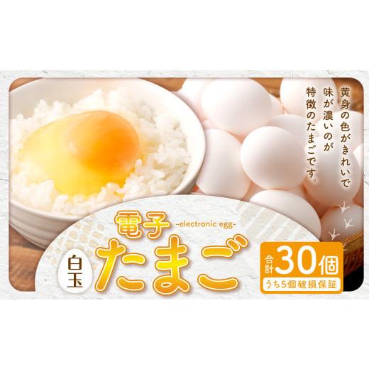 ふるさと納税 卵(鶏、烏骨鶏等) 鹿児島県 薩摩川内市 2026年1月発送 電子たまご(白玉) 30個 卵 たまご 白玉 ZS-534-1 2026年1月発送