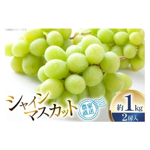 ふるさと納税 ぶどう マスカット 山形県 高畠町 期間限定発送 シャインマスカット 2房 約1kg 治右衛門果樹園 山形県 高畠町 tk06ays830011 箱詰め フルーツ …
