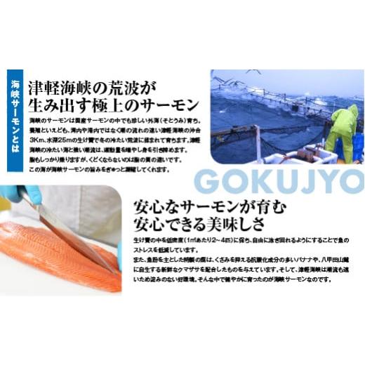 ふるさと納税 缶詰・瓶詰 魚貝類 青森県 むつ市 海峡サーモン水煮12缶セット_3
