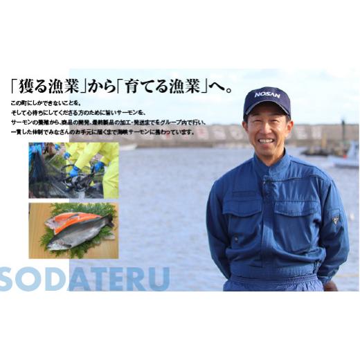 ふるさと納税 缶詰・瓶詰 魚貝類 青森県 むつ市 海峡サーモン水煮12缶セット_5