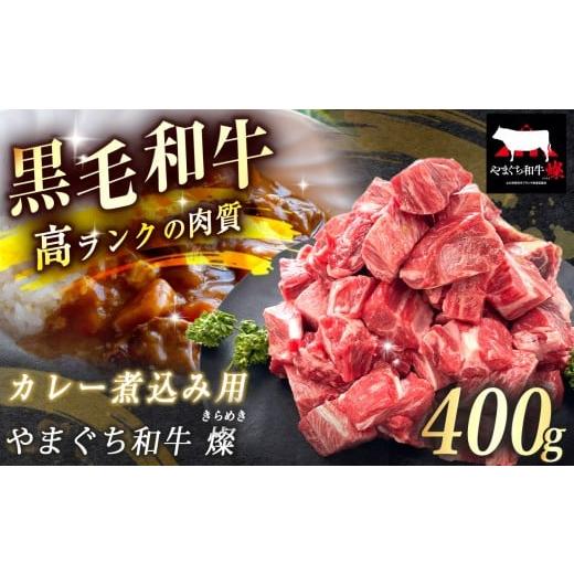 ふるさと納税 牛肉 カレー・シチュー 山口県 美祢市 数量限定 選べる 極上牛肉 やまぐち和牛 燦 (きらめき) カレー煮込み用 400g | 山口 県 美祢市 牛肉 ブラ…