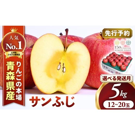 ふるさと納税 りんご 青森県 三戸町 2026年産・先行予約 2026年11月下旬〜12月上旬頃発送予定 りんご サンふじ 約5kg(12〜20玉) 青森県三戸町産 りんご サ…
