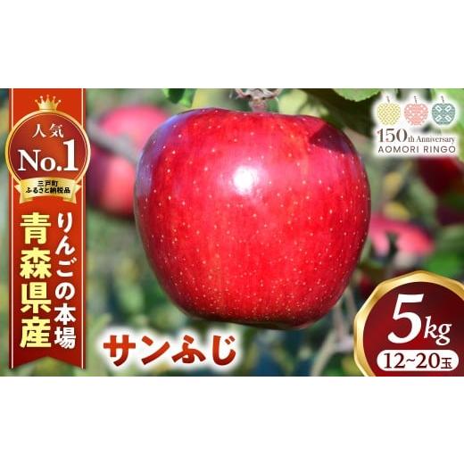 ふるさと納税 りんご 青森県 三戸町 2025年産・先行予約 2025年12月下旬〜1月上旬頃より順次発送予定 りんご サンふじ 約5kg(12〜20玉) 青森県三戸町産 り…