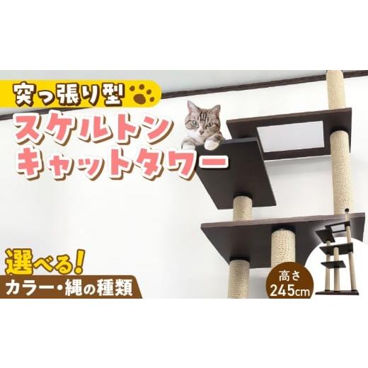 ふるさと納税 雑貨・日用品 インテリア 福岡県 久留米市 スケルトンキャットタワー XLB-P(高さ245cm) _ キャットタワー スケルトン 突っ張り型 猫 猫用 透明…