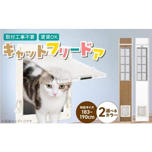 ふるさと納税 雑貨・日用品 インテリア 福岡県 久留米市 猫用キャットフリードア _ 猫用 フリードア 白 木目 工事不要 パネル一体型 ペットドア 賃貸…