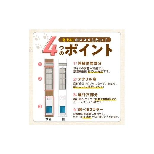 ふるさと納税 雑貨・日用品 インテリア 福岡県 久留米市 オートマッチックフリードア OT-1900 _ オートマチック フリードア 普通サイズ 猫用 白 木目 工事不…の画像