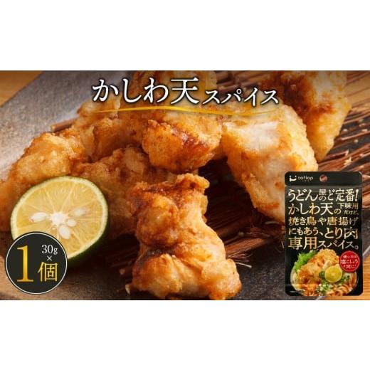 ふるさと納税 塩・だし ハーブ・風味付き 香川県 高松市 かしわ天スパイス(30g1袋)