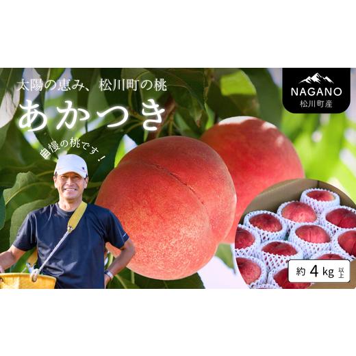 ふるさと納税 もも 長野県 松川町 KM02-26A 先行予約 桃 あかつき 4kg以上(12〜16玉) 贈答/2026年7月下旬頃〜配送予定 | 長野県 南信州 松川町 モモ 贈答 …