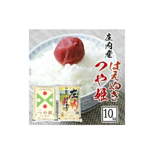 ふるさと納税 米 つや姫 山形県 酒田市 つや姫 はえぬき 各5kg 計10kg 令和7年産米 農産物検査員おすすめ 庄内米 東北 山形県 酒田市 庄内地方 庄内平野 米 お…