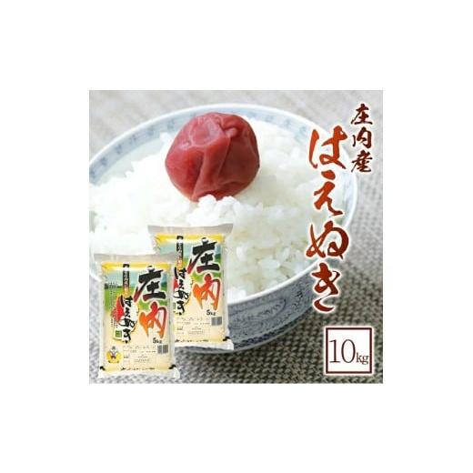 ふるさと納税 米 はえぬき 山形県 酒田市 はえぬき 5kg×2袋 計10kg 令和7年産米 農産物検査員おすすめ 庄内米 東北 山形県 酒田市 庄内地方 庄内平野 米 お米…