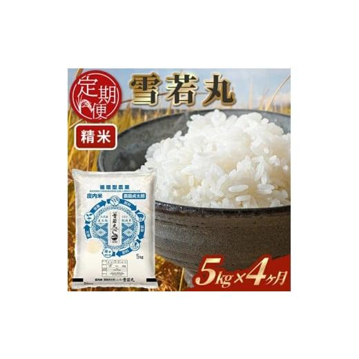 ふるさと納税 米 山形県 酒田市 4ヶ月定期便 雪若丸 精米 5kg×4ヶ月連続 計20kg 令和7年産 山形県産 毎月下旬にお届け 白米 庄内米 米 ごはん ご飯 酒田市 …