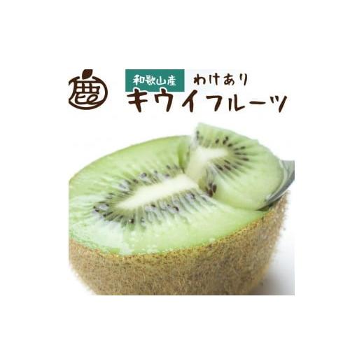 ふるさと納税 果物類 和歌山県 有田川町 [先行予約]わけあり キウイ0.6kg+250g(傷み補償分)[わけあり・訳あり・扁平果]