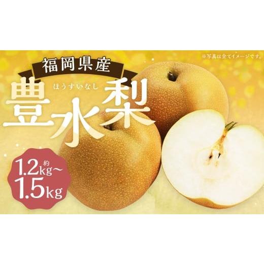 ふるさと納税 梨 福岡県 筑後市 豊水梨 約1.2kg〜1.5kg 3玉 よらん野 2026年8月下旬から9月下旬発送予定 ナシ なし 梨 フルーツ くだもの 果物 果実 3玉