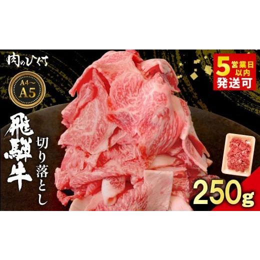 ふるさと納税 牛肉 炒め物 岐阜県 東白川村 12月発送 飛騨牛 切り落とし 250g A5 A4 国産 牛 黒毛和牛 和牛 牛肉 切落し 切り落し 薄切り 訳あり 牛丼 すき焼…