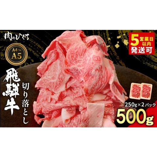 ふるさと納税 牛肉 炒め物 岐阜県 東白川村 12月発送 飛騨牛 切り落とし 500g(250g×2P) A5 A4 国産 牛 黒毛和牛 和牛 牛肉 切落し 切り落し 薄切り 訳あり…
