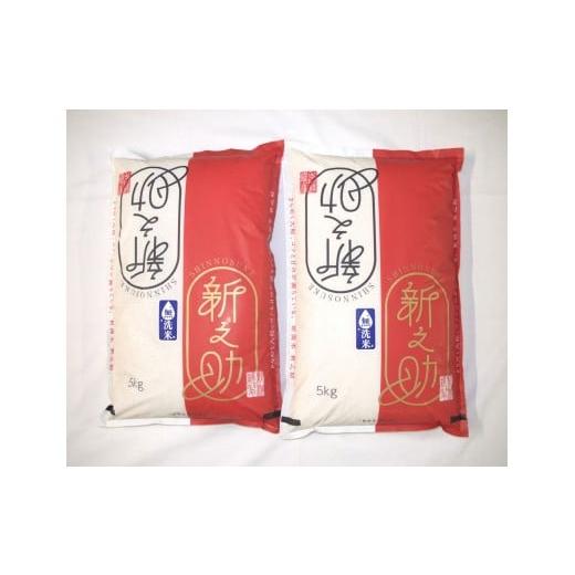 ふるさと納税 米 新潟県 村上市 令和7年産米 無洗米 特別栽培米 新潟県村上市岩船産 新之助10kg 1029008