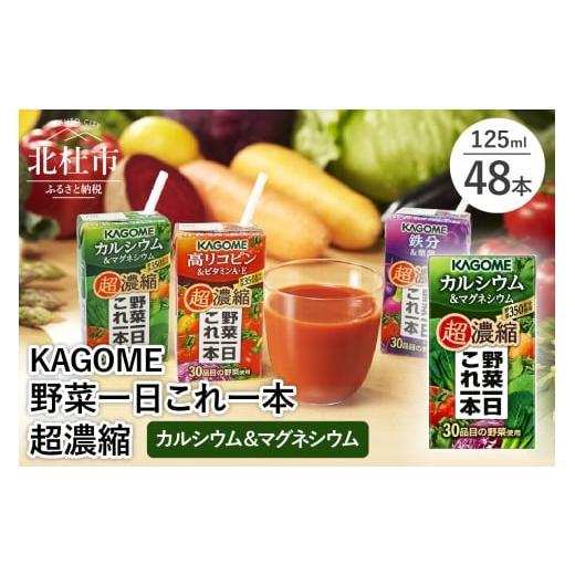ふるさと納税 果汁飲料 やさい 山梨県 北杜市 カゴメ 野菜一日これ一本 超濃縮 カルシウム&マグネシウム 125ml 紙パック 48本入 (野菜ジュース) 紙パック …
