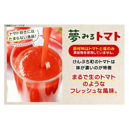 ふるさと納税 野菜類 ジュース 北海道 剣淵町 100％トマトジュース