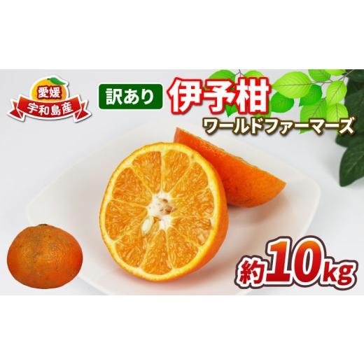 ふるさと納税 みかん・柑橘類 愛媛県 宇和島市 愛媛みかん 訳あり 伊予柑 10kg ワールドファーマーズ わけあり いよかん 愛媛ミカン 愛媛蜜柑 訳アリ 訳あり品…