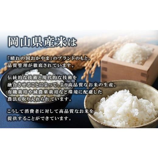 令和6年度新米 にこまる 奥三河産 10kg 精米仕立て！ ふるさと納税 米 コシヒカリ 岡山県 早島町 令和7年産 岡山県産米「に