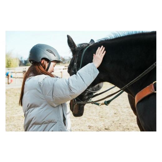 ふるさと納税 体験チケット 福島県 浪江町 馬とのふれあい・乗馬体験コース（1名）_1
