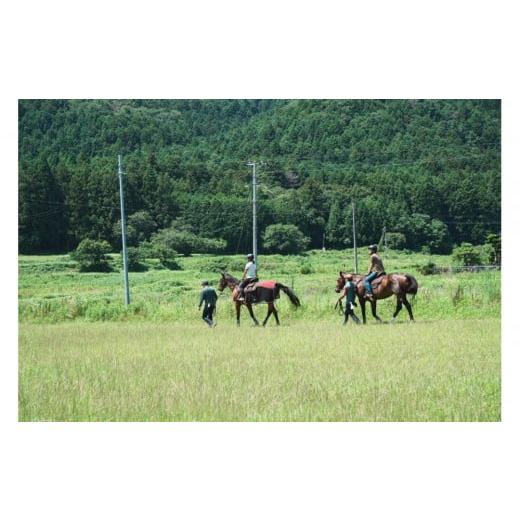 ふるさと納税 体験チケット 福島県 浪江町 馬とのふれあい・乗馬体験コース（1名）_3