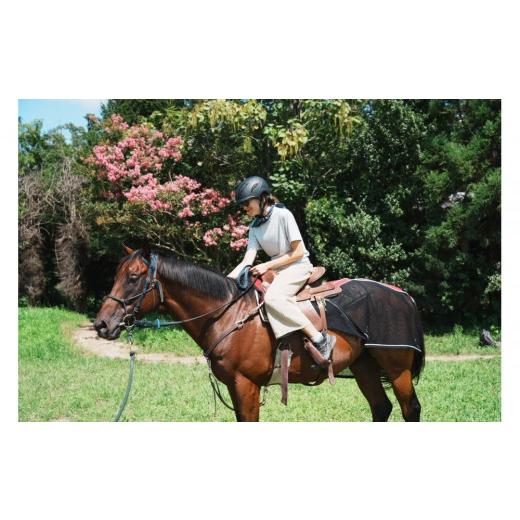 ふるさと納税 体験チケット 福島県 浪江町 馬とのふれあい・乗馬体験コース（1名）_4