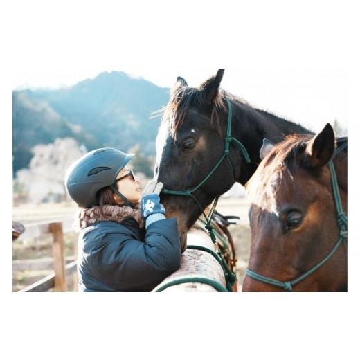 ふるさと納税 体験チケット 福島県 浪江町 馬とのふれあい・乗馬体験コース（1名）_5