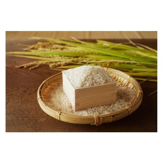 ふるさと納税 米 福島県 浪江町 令和7年産先行予約 「にじのきらめき」白米・5kg