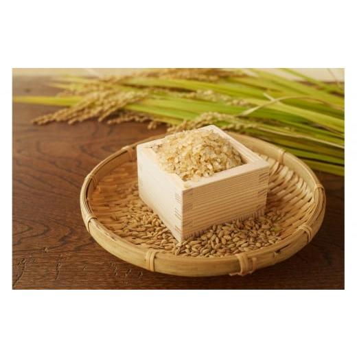 ふるさと納税 米 福島県 浪江町 令和7年産先行予約 「にじのきらめき」玄米・5kg