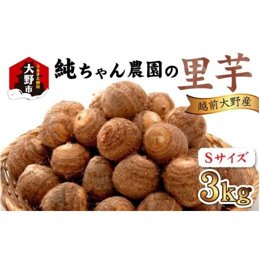 ふるさと納税 人参・大根・他根菜 福井県 大野市 越前大野産 「純ちゃん農園の里芋 3kg」サイズS寸
