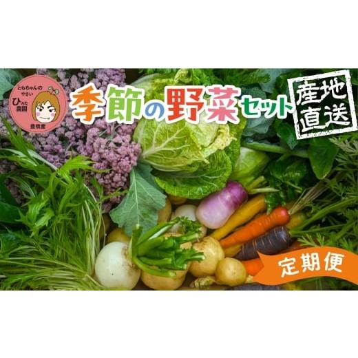 ふるさと納税 セット・詰合せ 愛知県 豊橋市 彩り野菜セット 3種 3回お届け 定期便 豊橋 国産 ミネラルたっぷり 海風そだち 潮風 家族で 大容量 豊橋 ともちゃ…