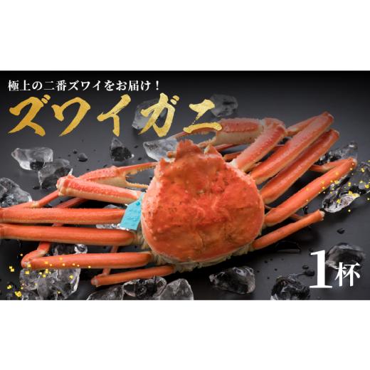 ふるさと納税 カニ ずわいガニ 石川県 羽咋市 味覚の王様 加能ガニ・姫丸の2番ズワイガニ 11-12月配送 茹で上げ後 約 900g 活 1.2kg ? 茹上げ 約 900g × 1杯