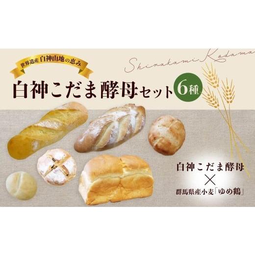 ふるさと納税 パン 食パン 群馬県 前橋市 アジアパン 白神こだま酵母セット | ぱん パン 食パン ブレッド 食事パン 黒糖パン 天然酵母 白神こだま酵母 国産小…