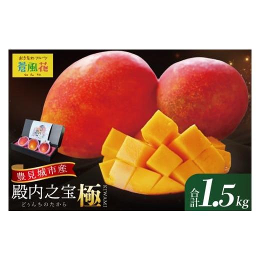 ふるさと納税 マンゴー 沖縄県 豊見城市 2026年7月より順次発送 豊見城産マンゴー『殿内之宝(どぅんちのたから)・極』約1.5kg|マンゴー フルーツ 果物 くだ…