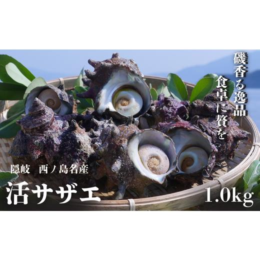 ふるさと納税 サザエ 島根県 西ノ島町 限定価格 7〜9月配送希望の方 コリ旨 獲れたて鮮度抜群 島獲れ活サザエ1.0kg満足セット - 磯の香りと海の恵みを食卓へ …