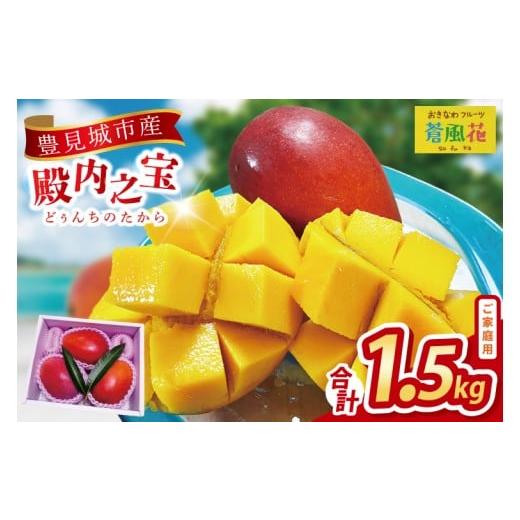 ふるさと納税 マンゴー 沖縄県 豊見城市 2026年7月より順次発送 豊見城産マンゴー『殿内之宝(どぅんちのたから)』約1.5kg(ご家庭用)|マンゴー フルーツ 果物…