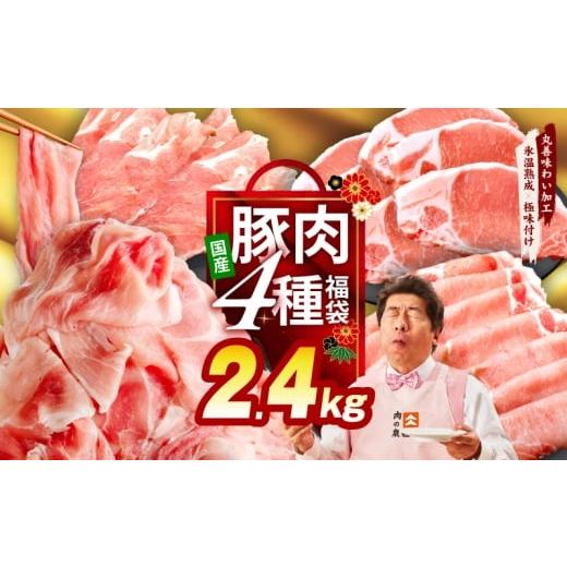 ふるさと納税 豚肉 セット 大阪府 泉佐野市 国産豚肉 4種 福袋 2.4kg 氷温熟成×極味付け 小分け 300gパック ぶたにく 普段使い 野菜炒め 切り落とし