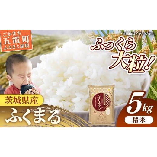 ふるさと納税 米 茨城県 五霞町 令和7年産 茨城県産 ふくまる 5kg / お米 精米 新米 旨味 安心 美味しい 茨城県 五霞町