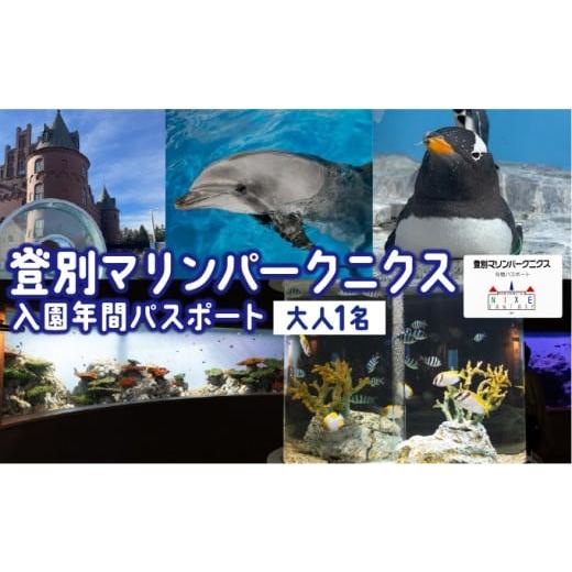 ふるさと納税 入場券・優待券 北海道 登別市 登別マリンパークニクス 入場券年間パスポート 大人 1名 チケット 北海道 観光 旅行 体験 パーク 入場券 入園券 …
