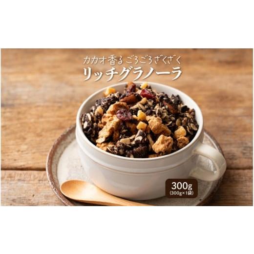 ふるさと納税 菓子 チョコレート 静岡県 静岡市 贅沢リッチグラノーラ 300g(300g×1袋)