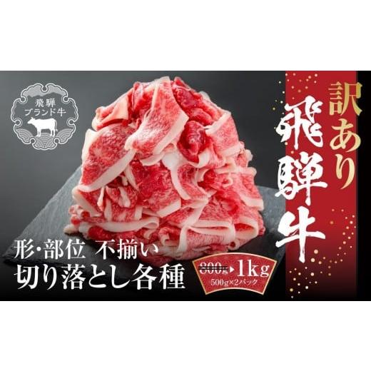 ふるさと納税 牛肉 岐阜県 高山市 12月配送 訳あり 飛騨牛 切落とし 1kg(500g×2パック) 冷凍真空パック MZ035VC12 12月配送