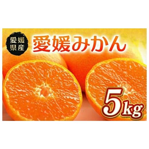 ふるさと納税 果物類 みかん 愛媛県 四国中央市 温州みかん 秀品 5kg 愛媛県 四国中央市産 品種厳選 送料無料 果物 フルーツ 5kg|寄附金額11,000円