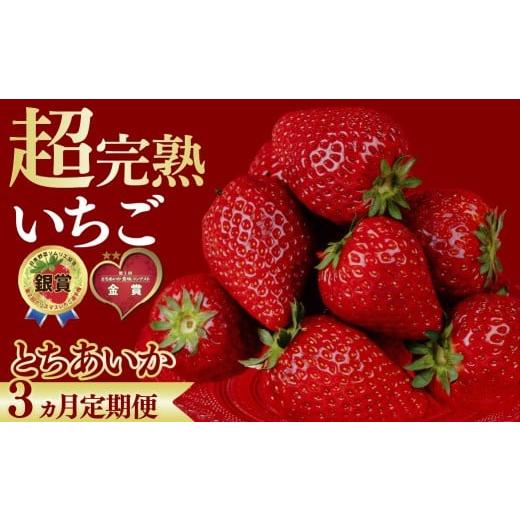 ふるさと納税 いちご 栃木県 茂木町 いちご 定期便3回 とちあいか食味コンテスト金賞受賞 とちあいか 約1080g | いちご イチゴ 苺 とちあいか とちおとめ 完熟…